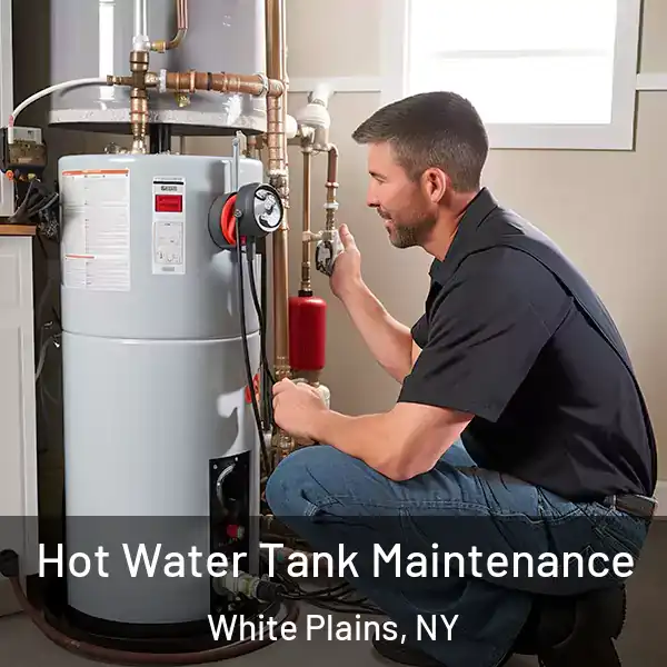 Hot Water Tank Maintenance White Plains, NY